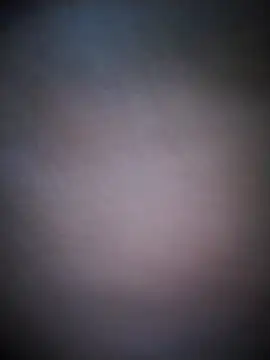 BarbudoSP35 online show from November 9, 9:46 am