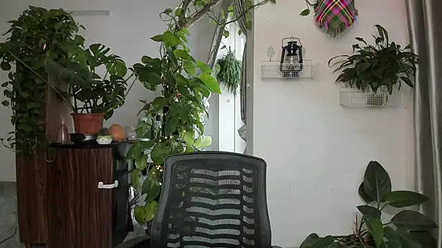 Oliver Nl online show from November 15, 4:36 am