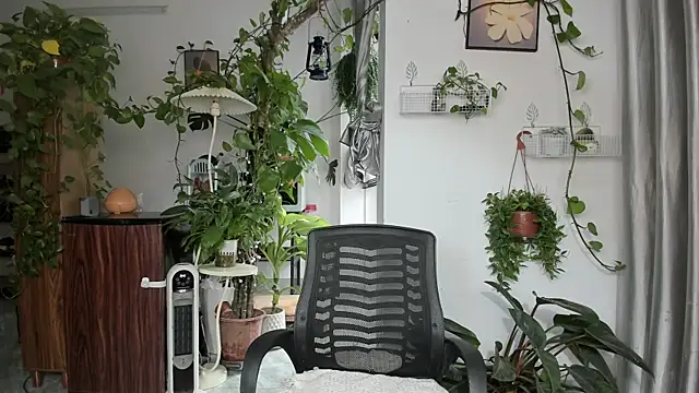 Oliver Nl online show from March 3, 4:09 am