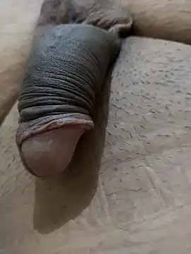 Dog546i online show from September 8, 4:50 pm