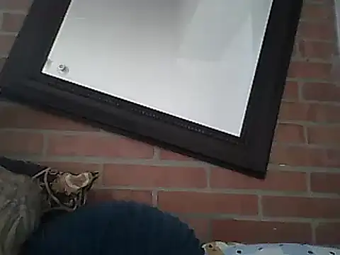 Skater29xx2 online show from March 15, 8:10 pm