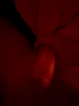 georgew0 online show from November 9, 12:36 am