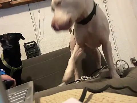 EnricoGio online show from December 17, 11:49 pm