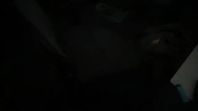 gentlewave90 online show from January 26, 6:07 am