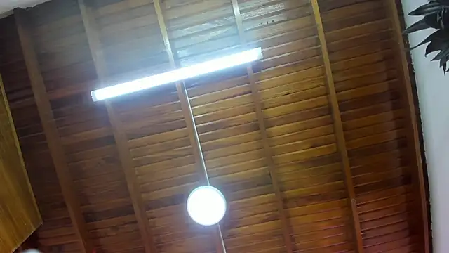 Levy Steve online show from November 26, 6:38 am