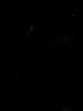 cdressupdiva online show from January 21, 8:44 am