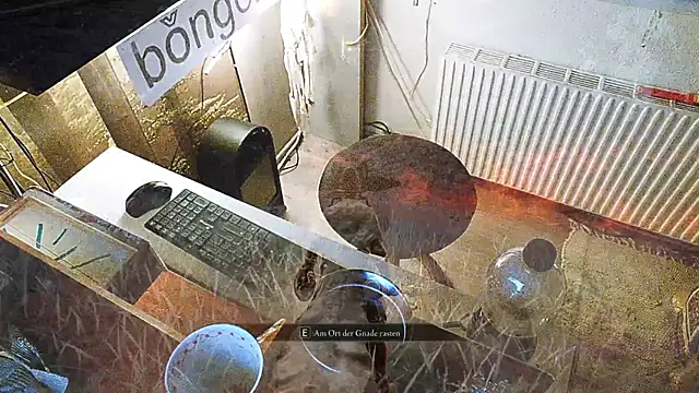 BongChannel online show from January 31, 4:36 am