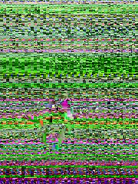 A6229 online show from January 13, 12:24 pm