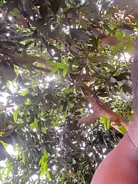 BigBrotherFreak online show from March 22, 5:31 pm