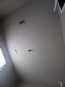 hermoso11111 online show from March 29, 2:06 pm