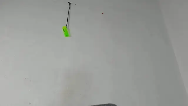 sebas rose online show from December 4, 3:15 am