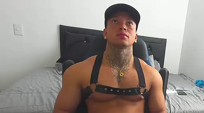 Stiven collins online show from January 17, 3:00 pm