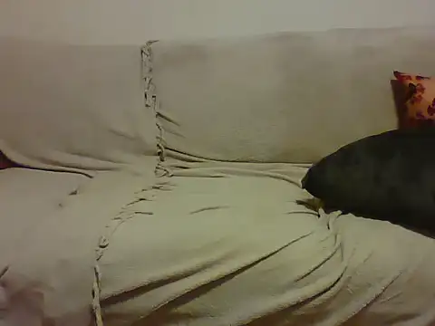 SeizoC online show from November 30, 1:29 am