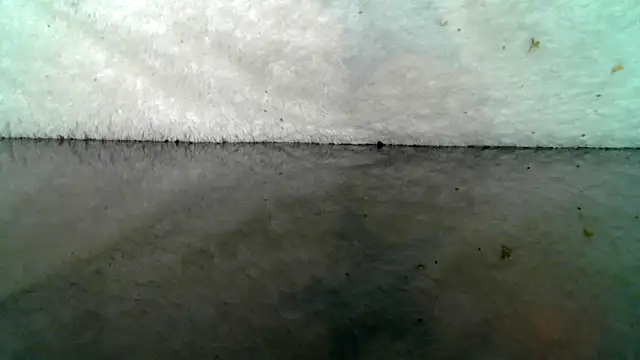 0815lukas2024 online show from October 22, 9:07 pm