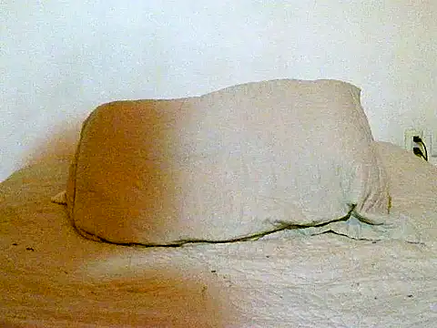 pollarikaaa online show from December 14, 12:06 am