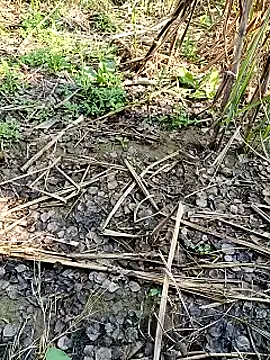 RockyNonStop online show from February 11, 4:55 am