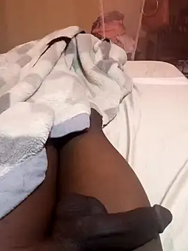 cranes293 online show from December 29, 6:03 am