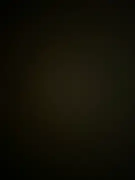 palaubr online show from November 12, 9:59 am