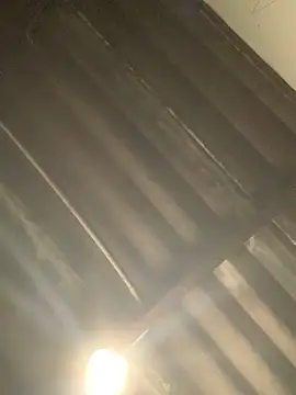 DManL online show from December 20, 4:58 pm