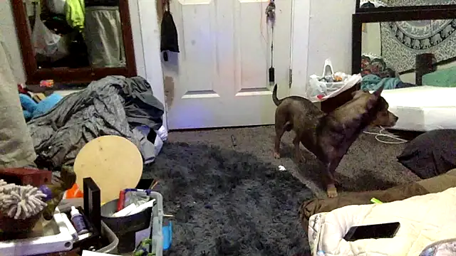 Robriguezxxx online show from October 12, 6:40 am