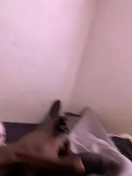 funpharoh1 online show from December 8, 3:45 pm