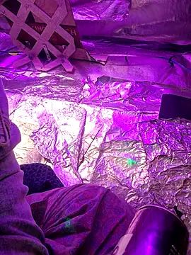 thecoolarrow online show from September 10, 5:06 am