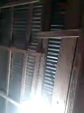 LemonyArcus online show from January 13, 4:06 am