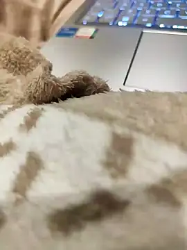 Snapshot of Bemgalado chatting on January 3, 8:22 pm Bemgalado online show from January 3, 8:22 pm