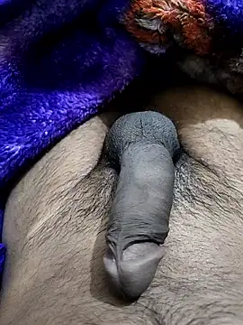 PAWARXX 0 online show from January 17, 4:32 pm