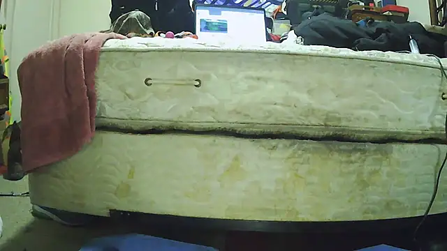 pipeload1275 online show from November 29, 6:32 pm