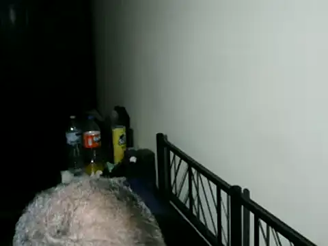 100Tauros online show from February 5, 10:39 pm