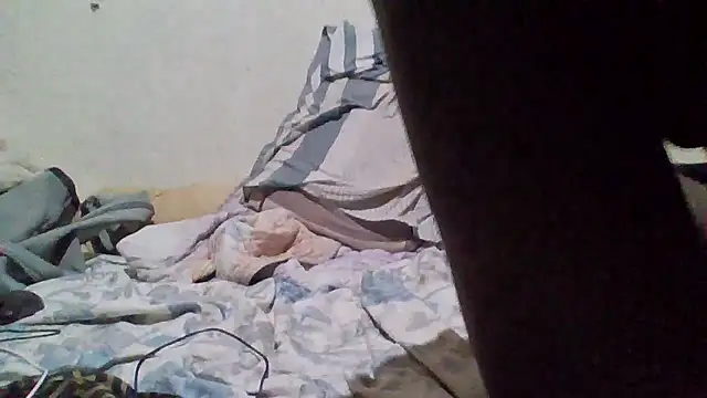 demo2004 online show from January 11, 4:00 pm