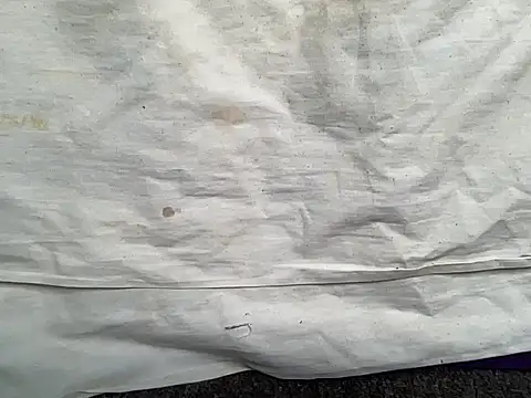 Snapshot of beforeyou69 chatting on January 30, 1:42 pm beforeyou69 online show from January 30, 1:42 pm