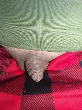 publicsir online show from March 2, 3:30 pm