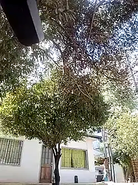 mikythompson online show from February 17, 4:04 pm