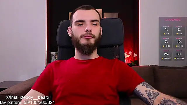 xteddy bear online show from December 28, 6:18 pm