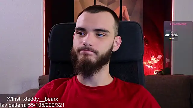 xteddy bear online show from December 13, 2:05 pm