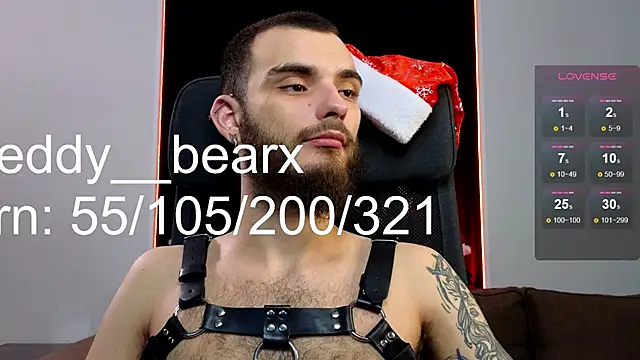 xteddy bear online show from December 25, 2:13 pm