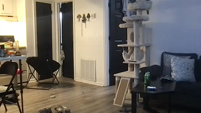 SpunCandy online show from October 1, 4:27 am