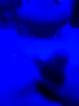 NICXUSS online show from December 4, 7:48 am