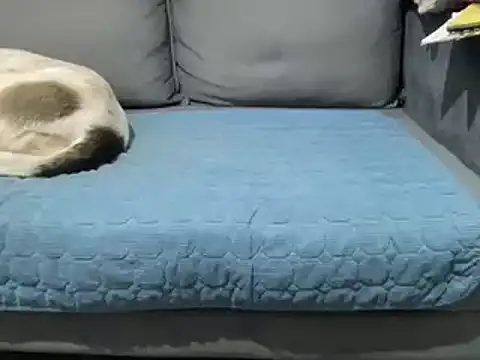 4small4inchlol online show from February 25, 5:47 pm