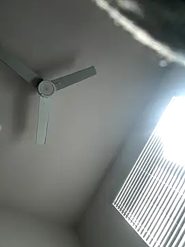 PointingPetrol online show from January 5, 6:55 pm