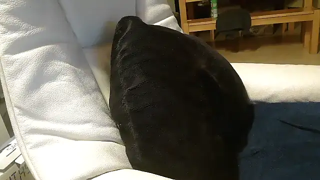 defttonguexxx online show from January 8, 9:20 pm