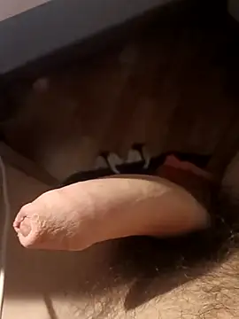 the lion 69 online show from November 4, 4:30 pm