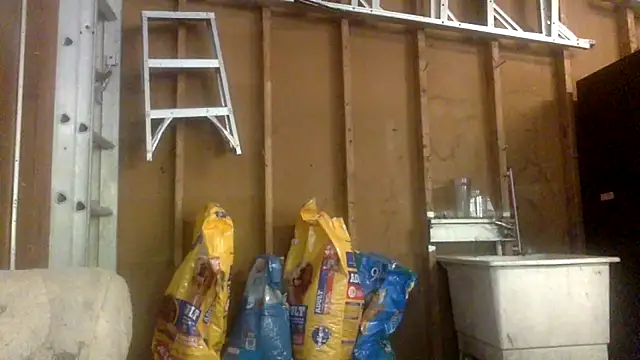 Buffshagswell online show from September 17, 7:15 pm