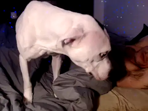 Buffshagswell online show from December 30, 6:53 am