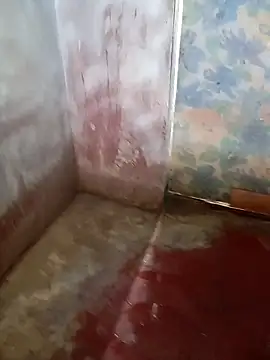 Andrapradesh online show from October 13, 8:53 am