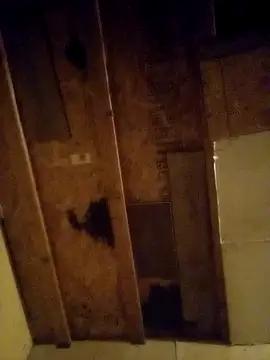 beliqi online show from December 15, 1:24 am