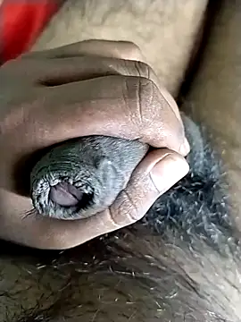 jellydicks online show from November 6, 4:43 pm