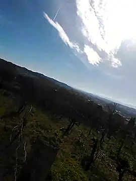 affascino online show from February 22, 10:38 am